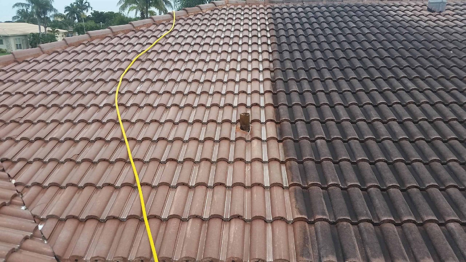 Low Pressure Roof Cleaning Service